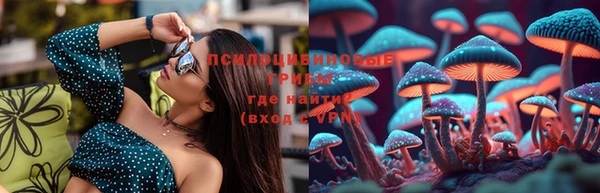 твердый Алзамай